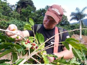 1456717_173400552867687_479364735_n