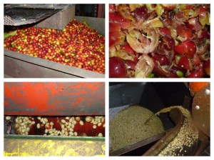 lavorazione semilavato2