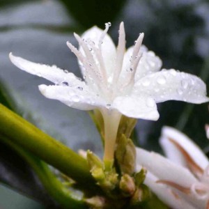 10968559_10206362459889132_1490407341456901503_n