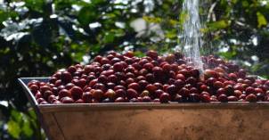 10974705_403338986497525_6807300287721351470_o