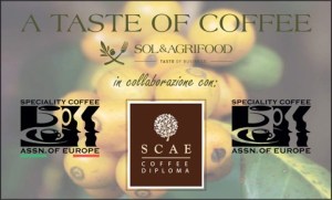 scae-italia