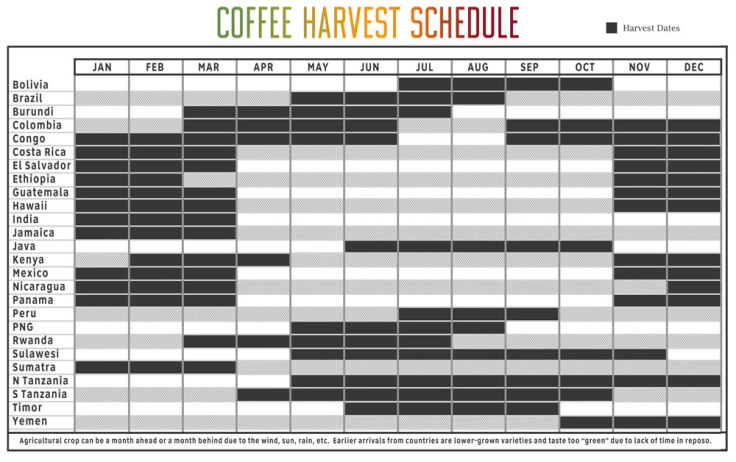 19846-cafeimportscoffeeharvestschedule