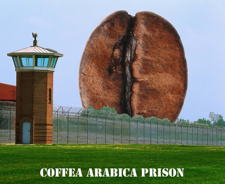 prison arabica