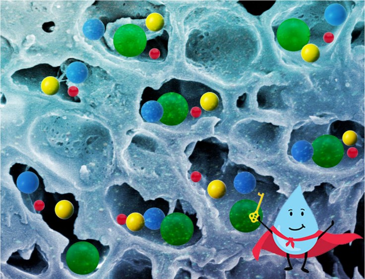 water hero freeing solubles3